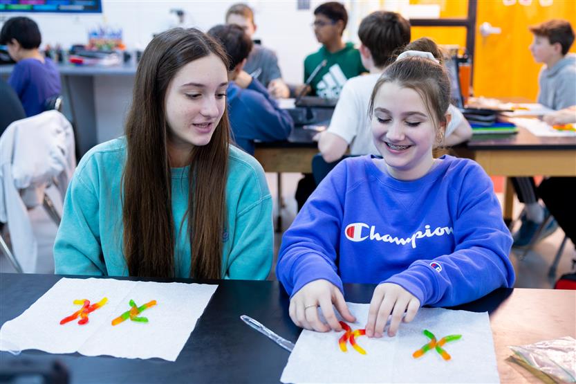 Middle school students in science class
